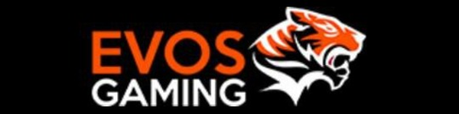 evosgamingslot.info Logo